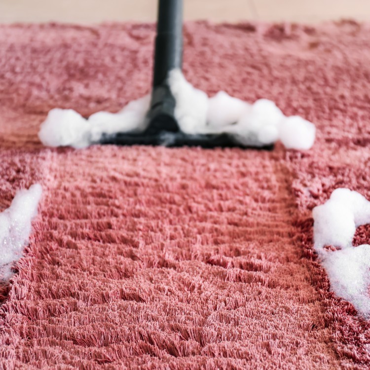 Carpet Cleaning in Santa Cruz, CA