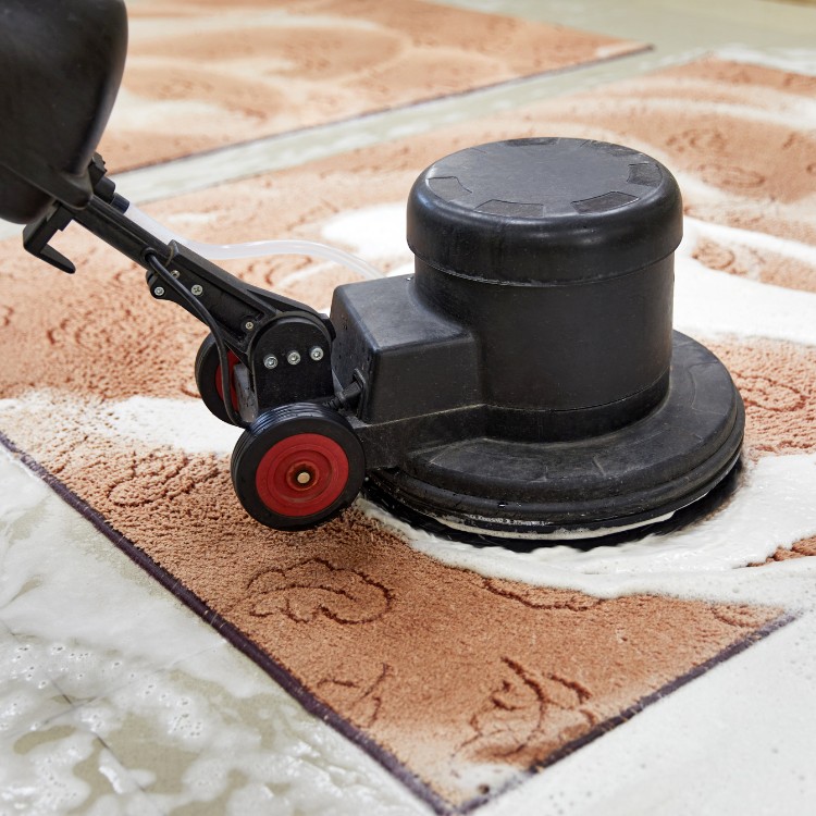 Carpet Cleaning in Santa Cruz, CA